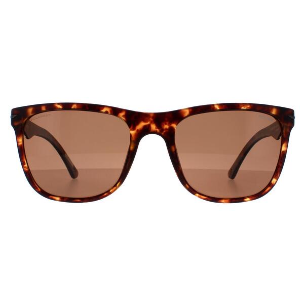 Police SPL357 Blackbird Light 2 brown men sunglasses, UK version