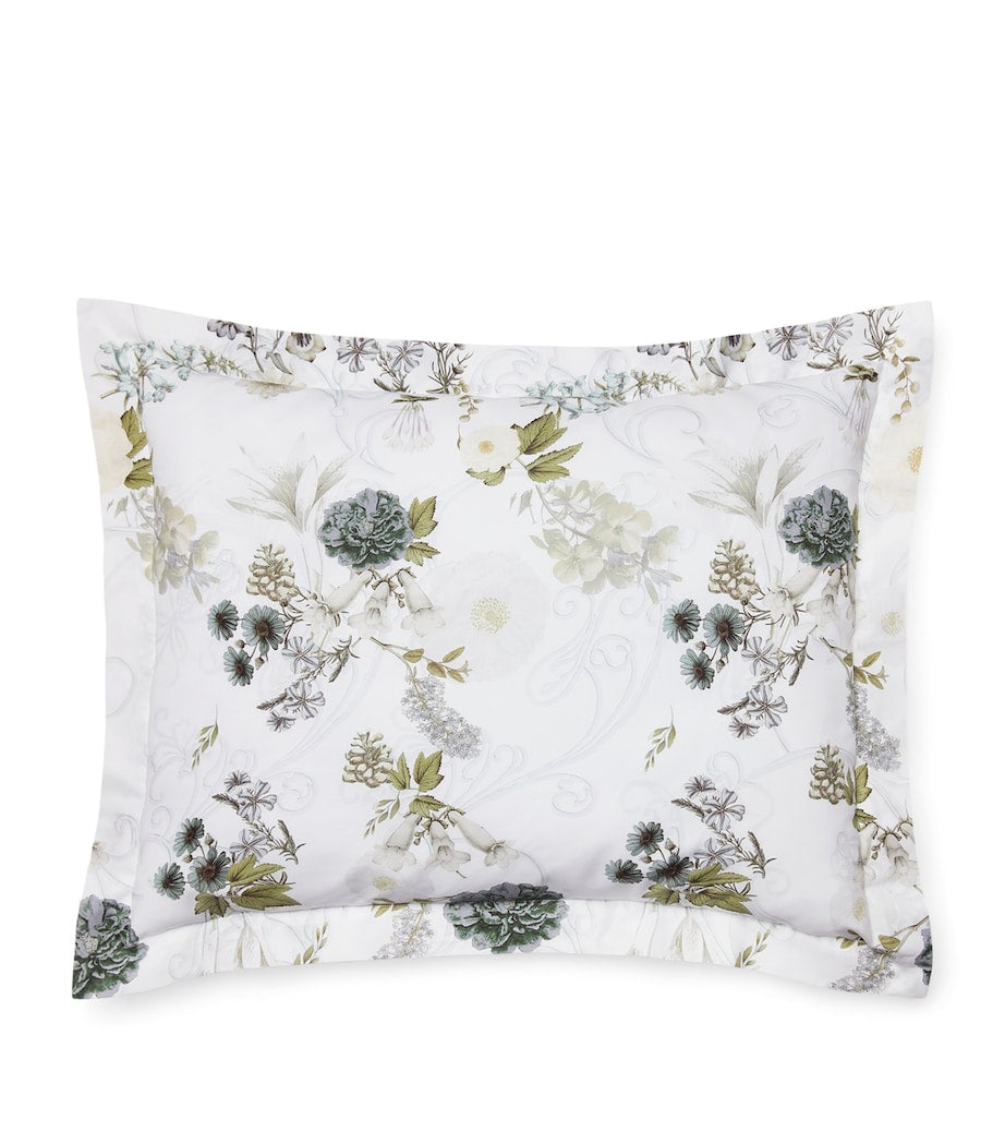 Sferra Incanto cotton percale sham pillowcase 65cm (British brand)