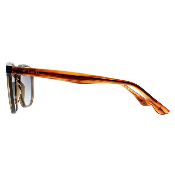 Ted Baker sunglasses TB1655 Dock brown gradient, UK version