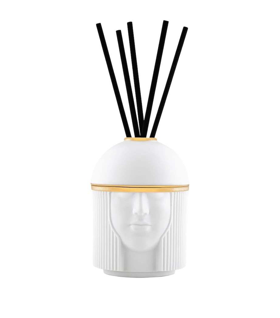 GINORI 1735 Black Stone Reed Diffuser with clove nutmeg musk scent 400ml, UK version