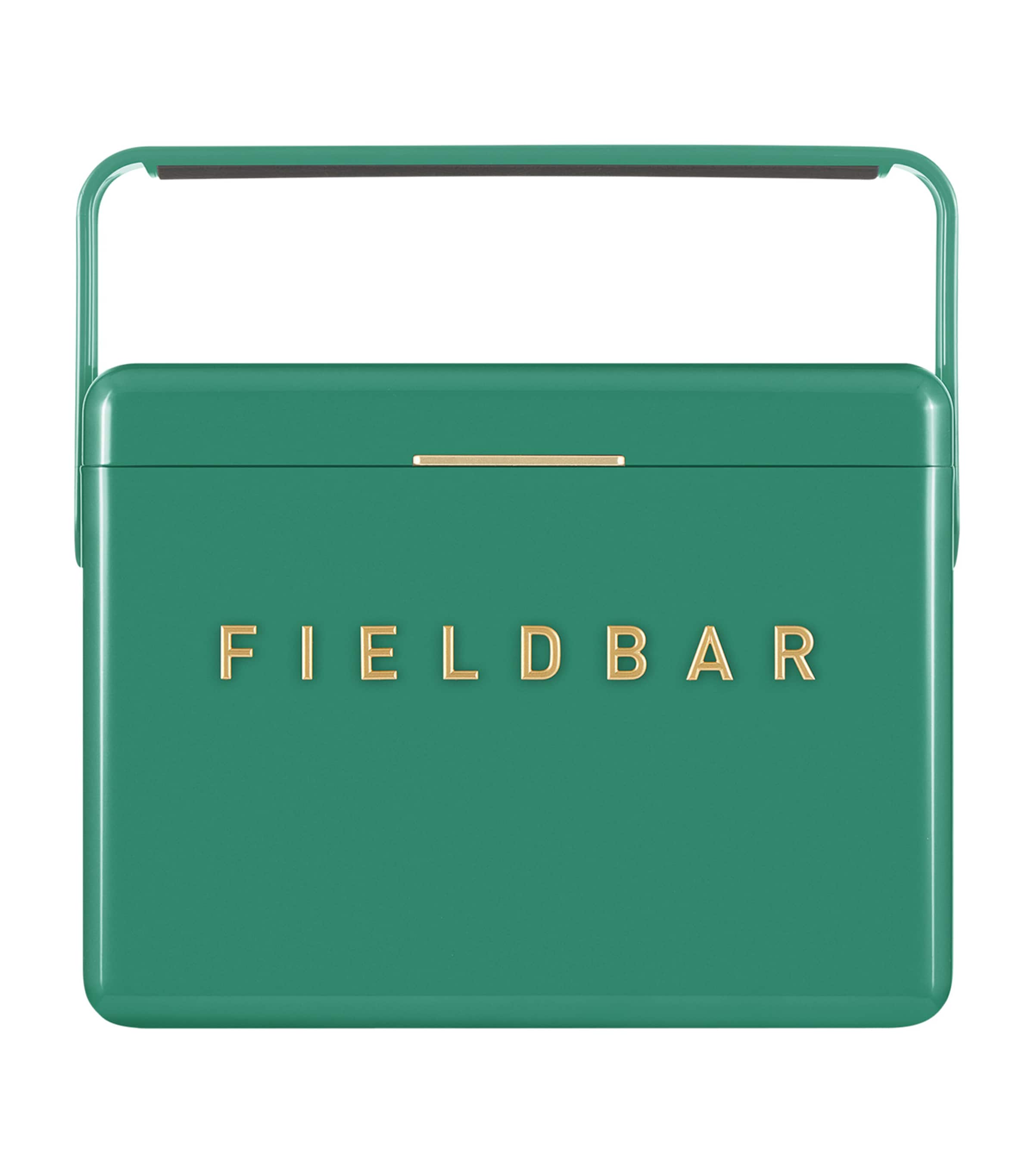 Fieldbar mini bar cooler box with leather sling 4L - British product