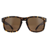 Calvin Klein CK19566S brown men sunglasses, imported from the UK