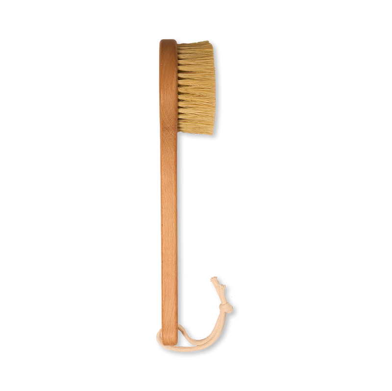 Dry body brush with cactus bristles and long handle - British product