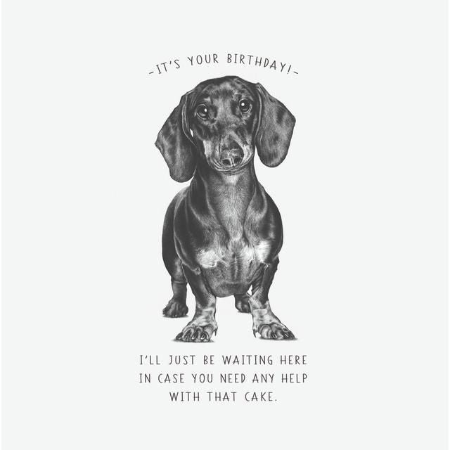 Dachshund Waiting For Cake Birthday Card