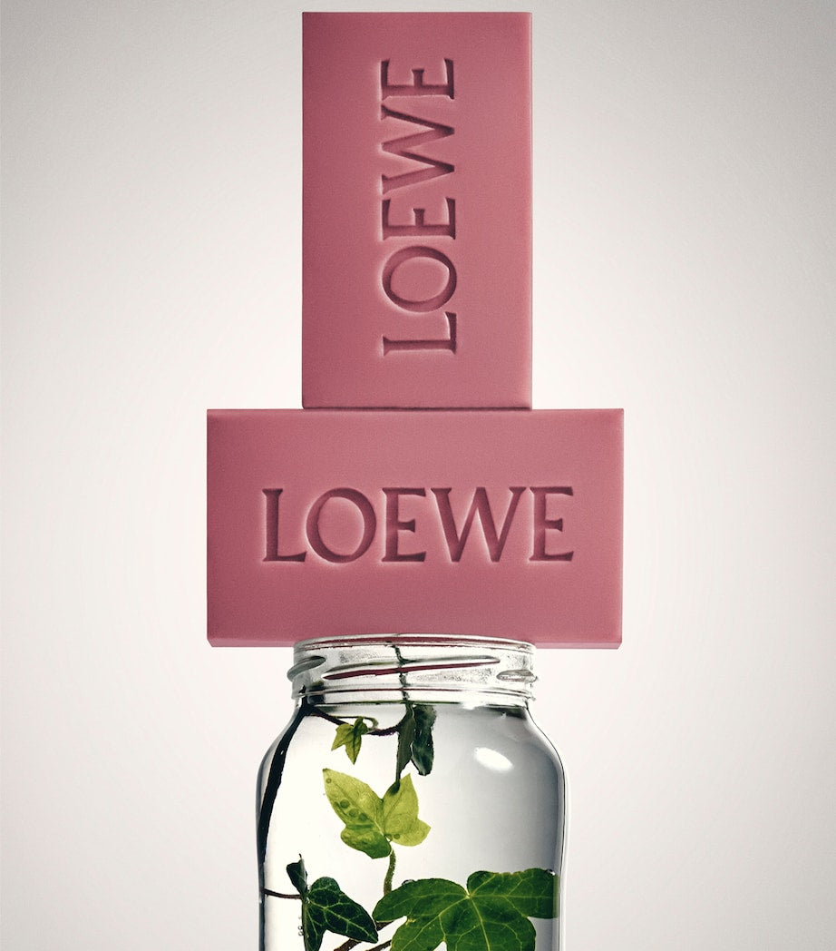 LOEWE Ivy soap bar set 2x125ml, imported from the UK