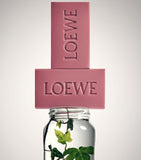 LOEWE Ivy soap bar set 2x125ml, imported from the UK