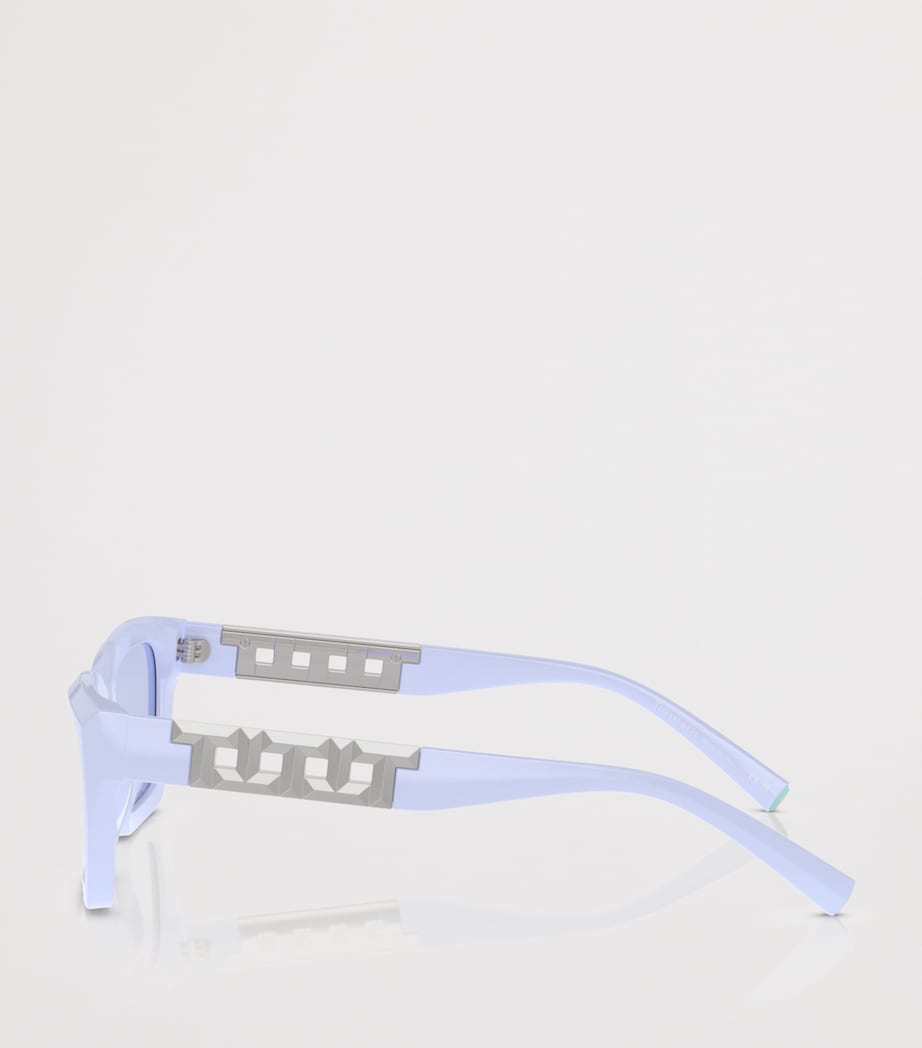 Tiffany & Co. acetate sunglasses TF4213 - British brand