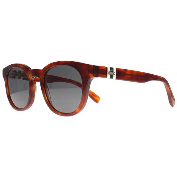 Lacoste L6006S brown men sunglasses, UK version
