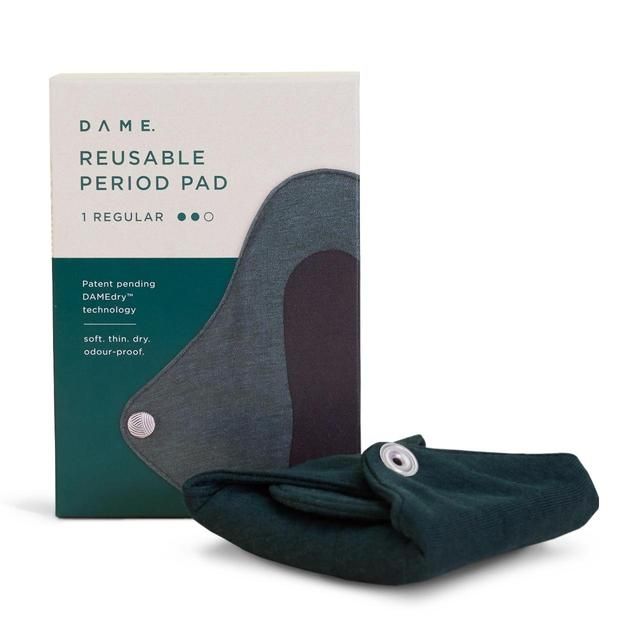 DAME Reusable Regular Pad