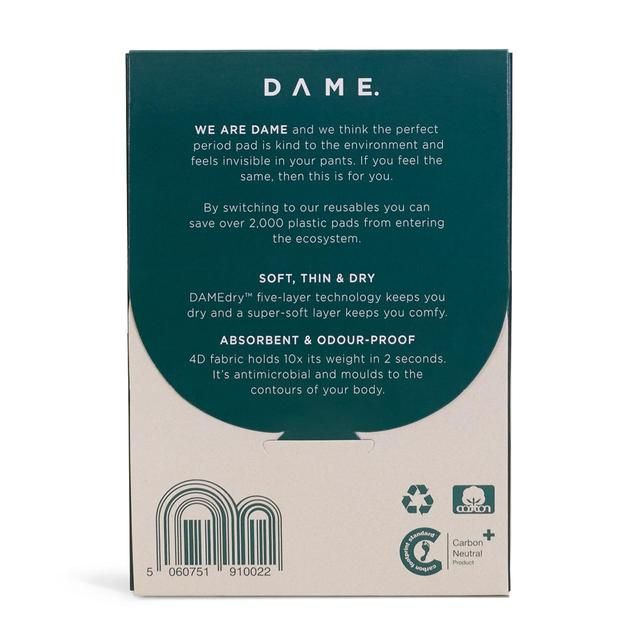 DAME Reusable Regular Pad