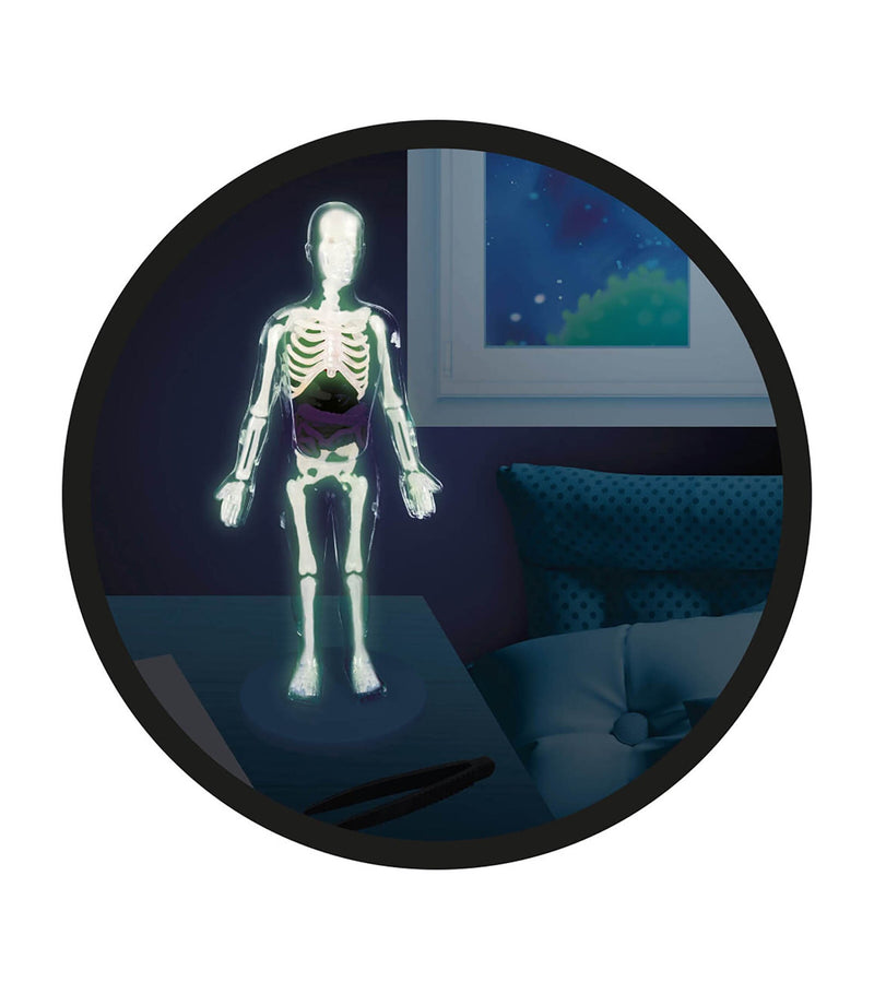 BUKI human body toy - British product