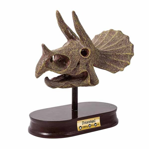 Buki dinosaur skull model kit Triceratops - British product