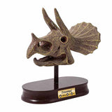 Buki dinosaur skull model kit Triceratops - British product