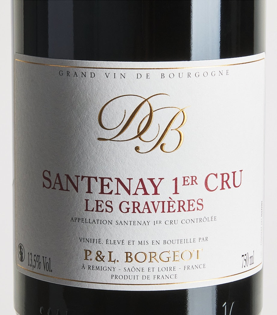 Borgeot Santenay Premier Cru Les Gravières Pinot Noir 2022 red wine 75cl, UK version