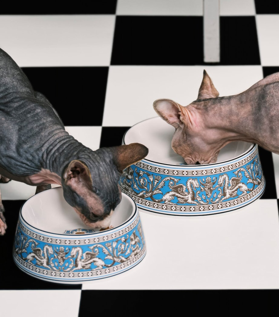 Wedgwood Florentine pet bowl 21cm, UK version