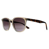 Ted Baker TB1655 Dock grey gradient sunglasses (British brand)