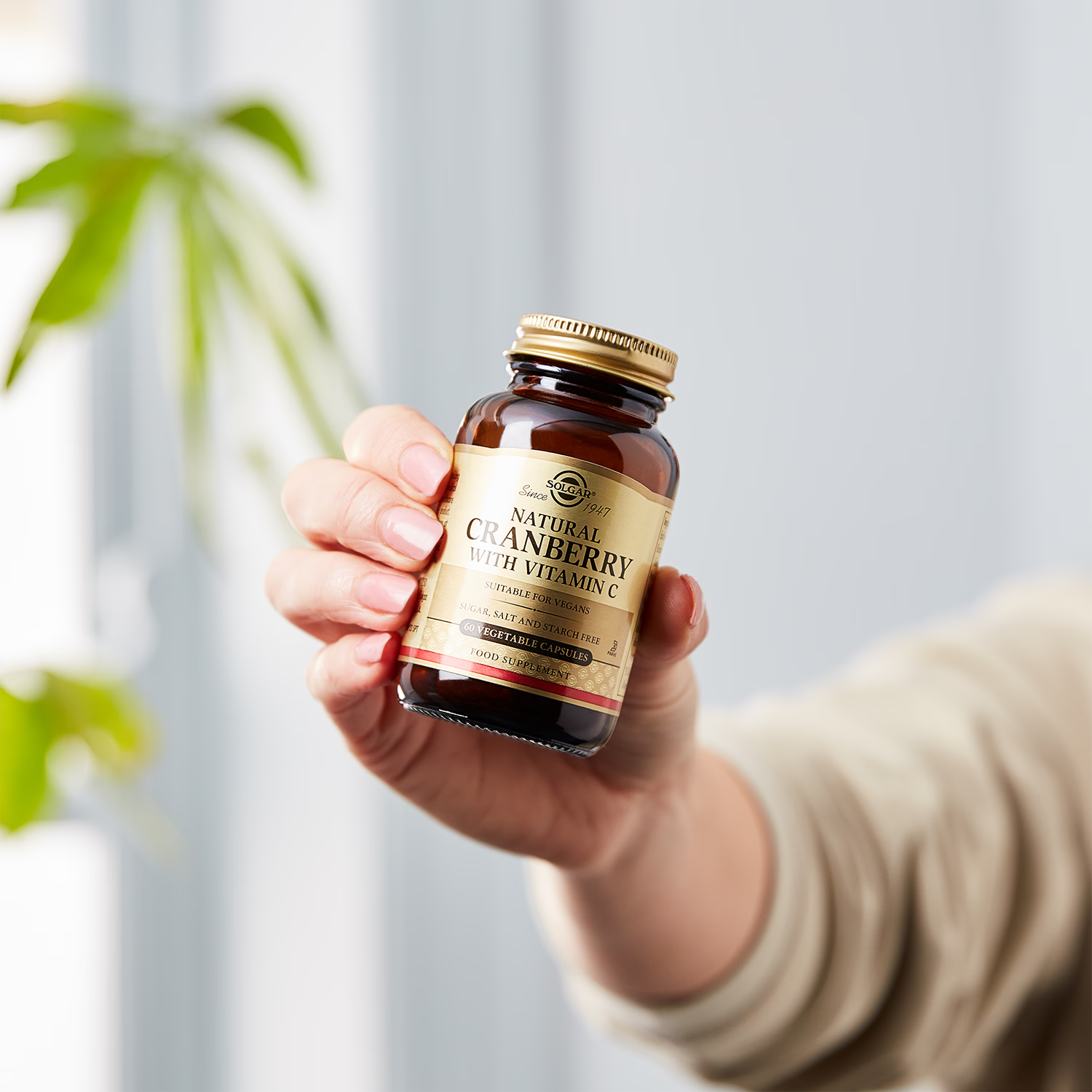 Solgar Natural Cranberry with Vitamin C 60 Vegi Capsules (British brand)