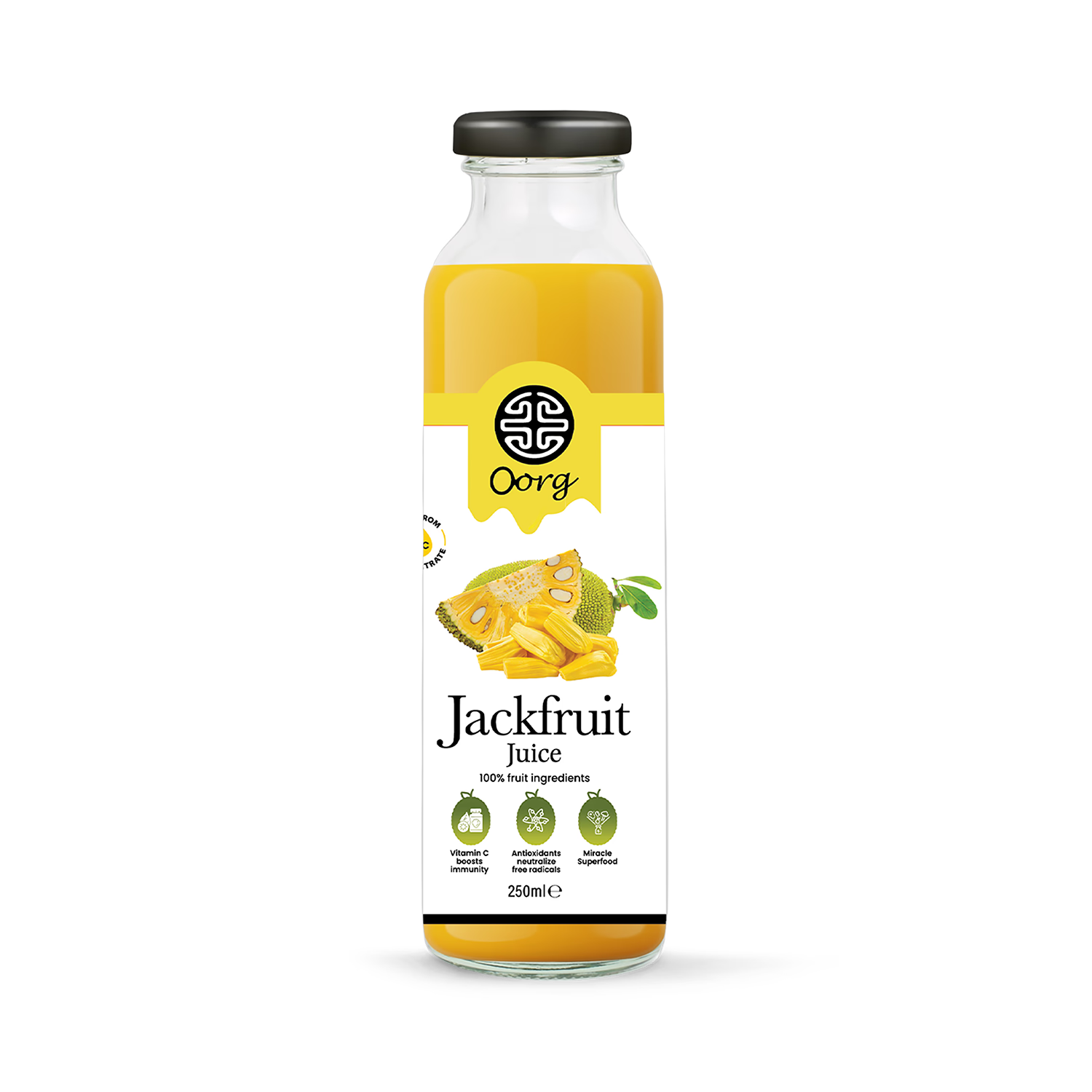 OORG Natural Jackfruit Juice 250ml pack of 6 - British product