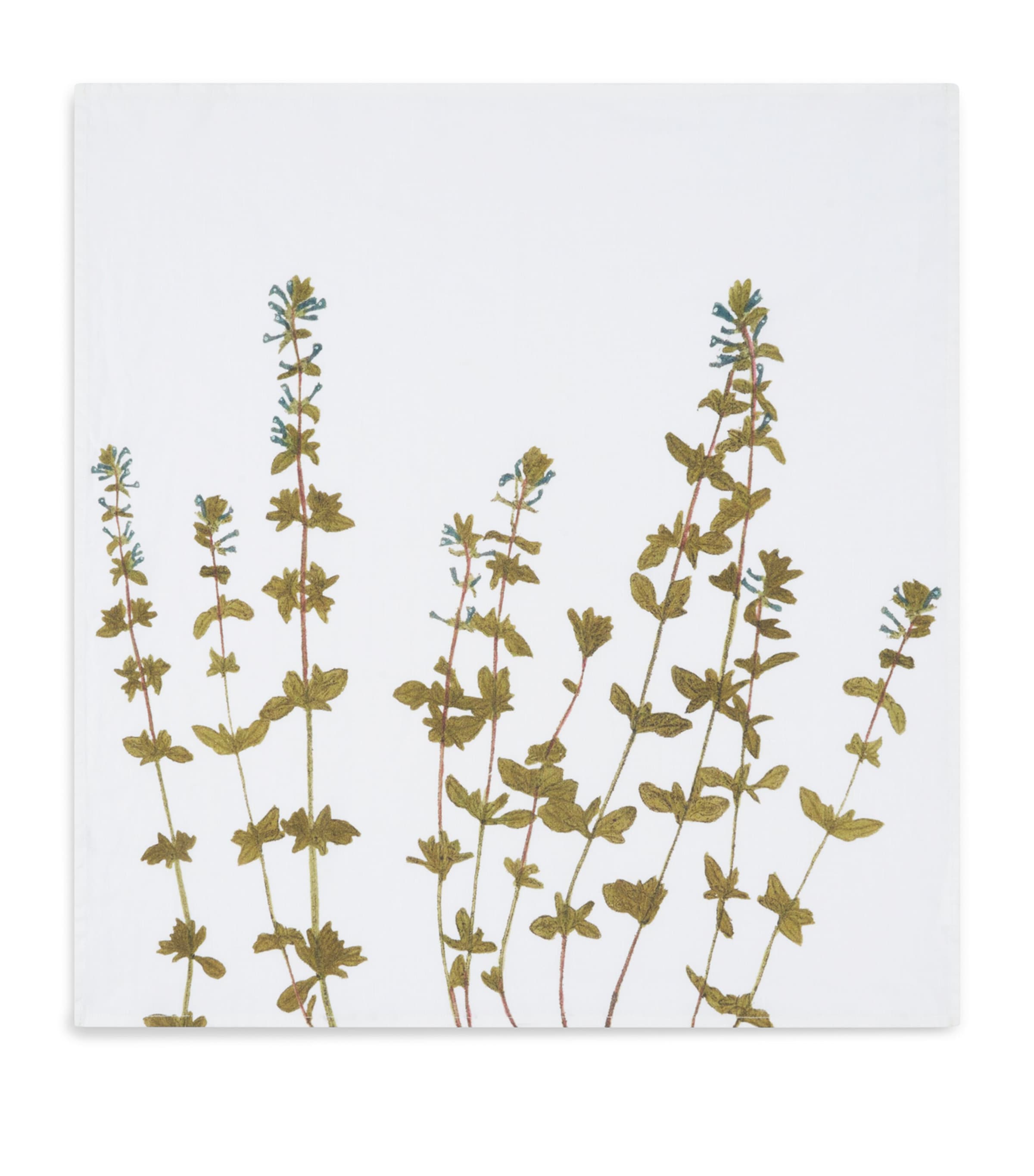Summerill & Bishop gastronomic herb garden linen napkins 50cm x 50cm (British brand)