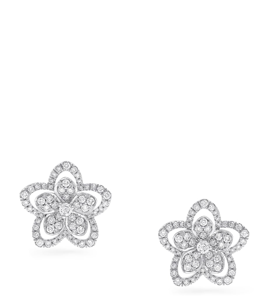Graff Wild Flower earrings white gold diamonds - British product