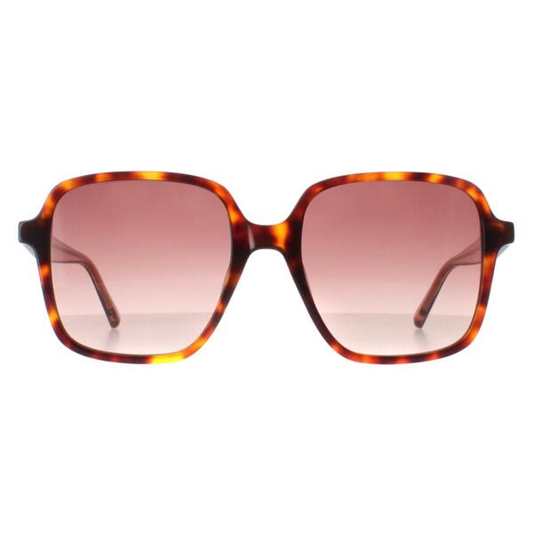 Ted Baker TB1688 women sunglasses brown gradient - British product