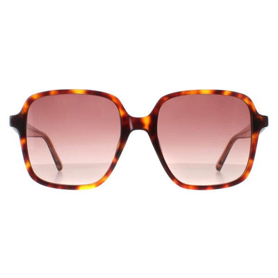 Superdrug Ted Baker TB1688 Brown Gradient Women Sunglasses- Buy online at McGrocer