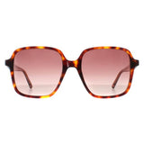Ted Baker TB1688 women sunglasses brown gradient - British product