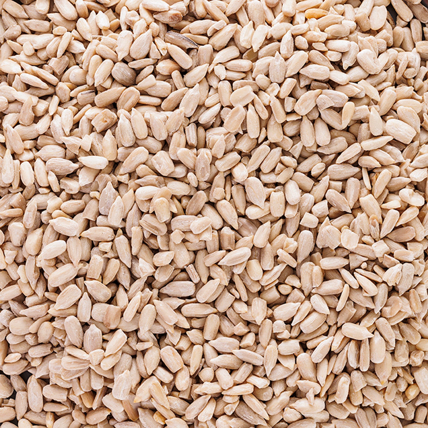 Holland & Barrett Crunchy Sunflower Seeds Snack 125g, UK version