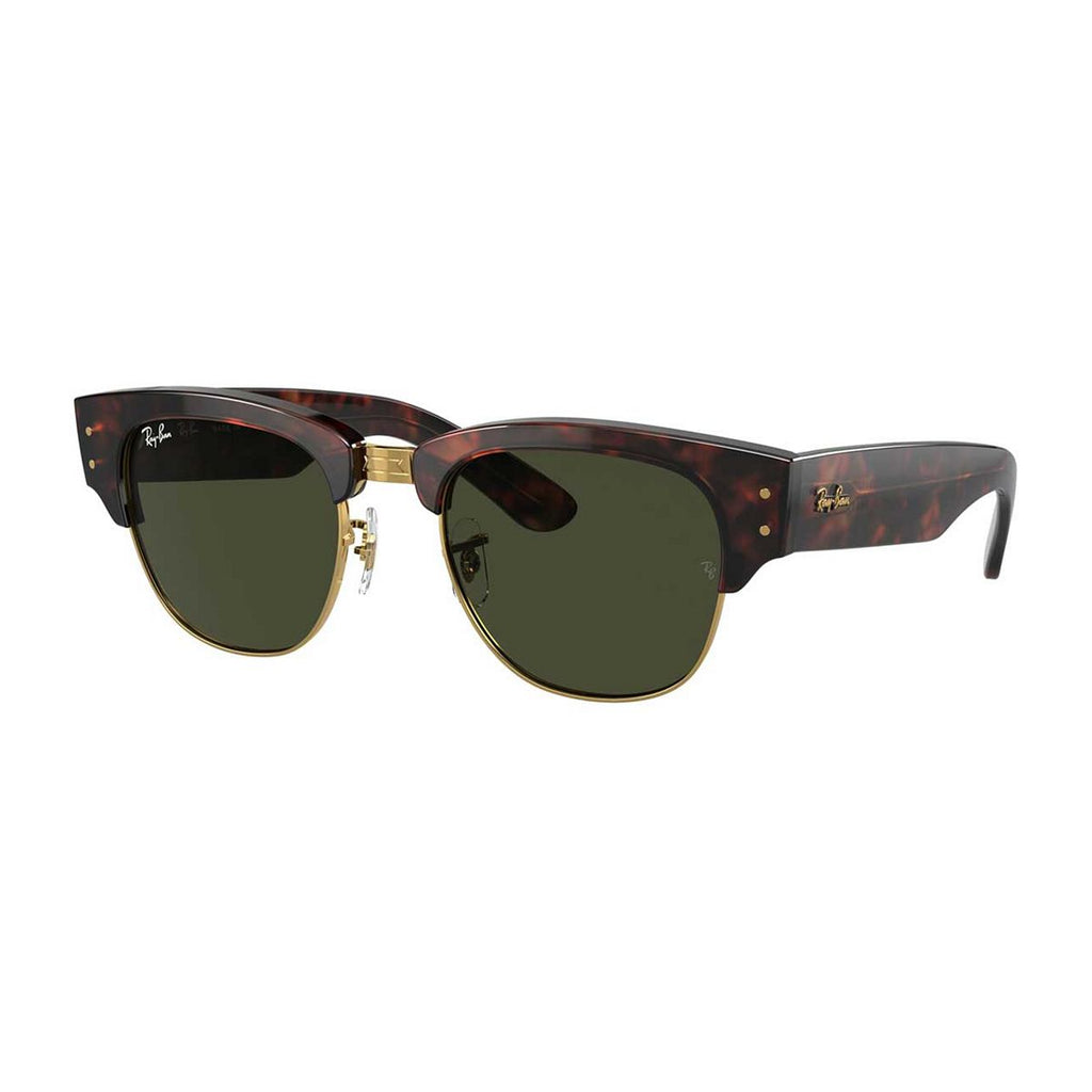 Ray-Ban 0RB0316S