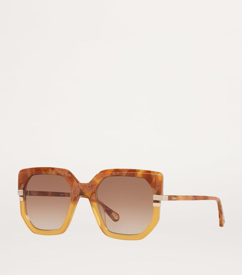 Chloé acetate sunglasses CH0240S (British brand)
