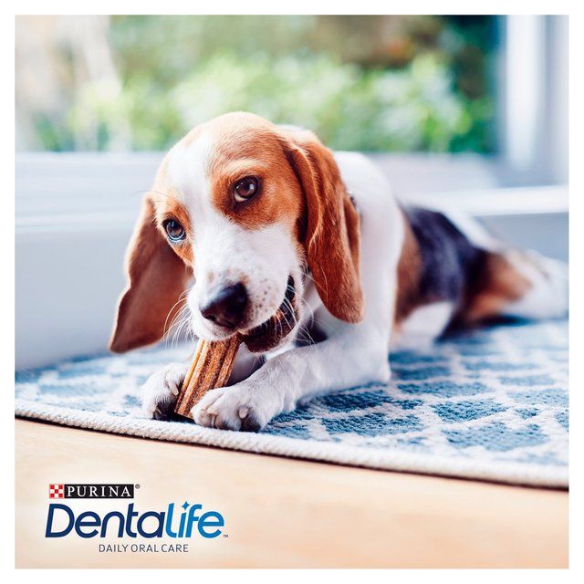 Dentalife Small Dental Chicken Dog Chews   345g