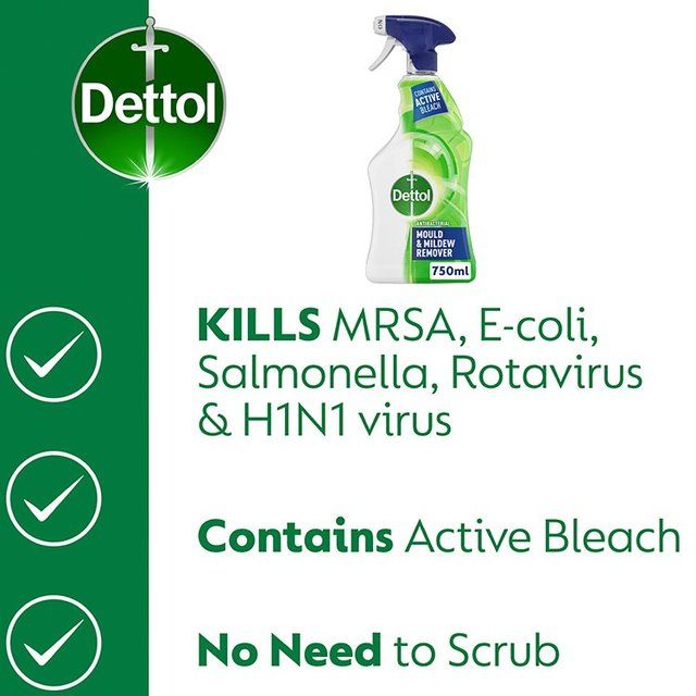 Dettol Antibacterial Mould &amp;amp; Mildew Remover Spray   750ml
