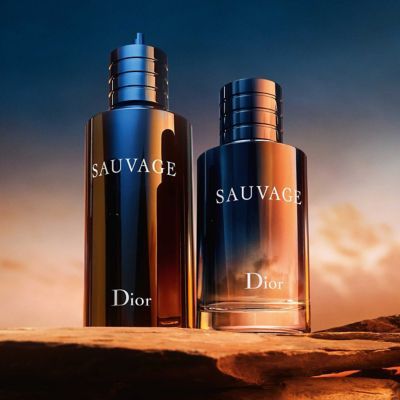 DIOR Sauvage Eau de Toilette Spray 200ml