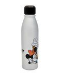 Disney Mickey & Friends 600ml Aluminium Bottle