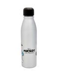 Disney Mickey &amp;amp; Friends 600ml Aluminium Bottle