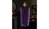 Disney Villains Halloween Evil Queen Decoration