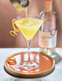 Distilled Flavoured Gin Duo