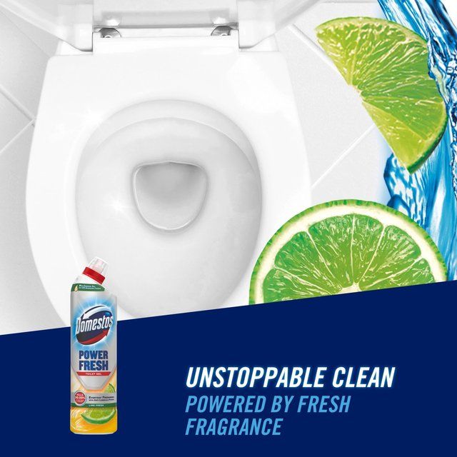 Domestos Power Fresh Lime   750ml