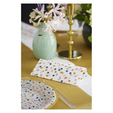 Dots Recyclable Paper Plates, 22cm