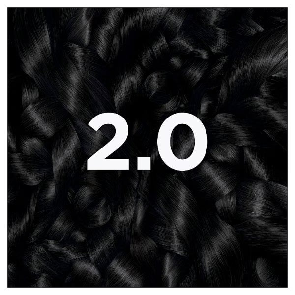 Garnier Permanent Hair Dye Truffle Soft Black 2.0, UK version