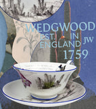 Wedgwood Voyage of the Beagle Chile bone china tea set (British brand)