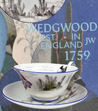 Wedgwood Voyage of the Beagle Chile bone china tea set (British brand)