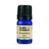 Holly Botanic grounding essential oil blend 10ml, imported from the UK