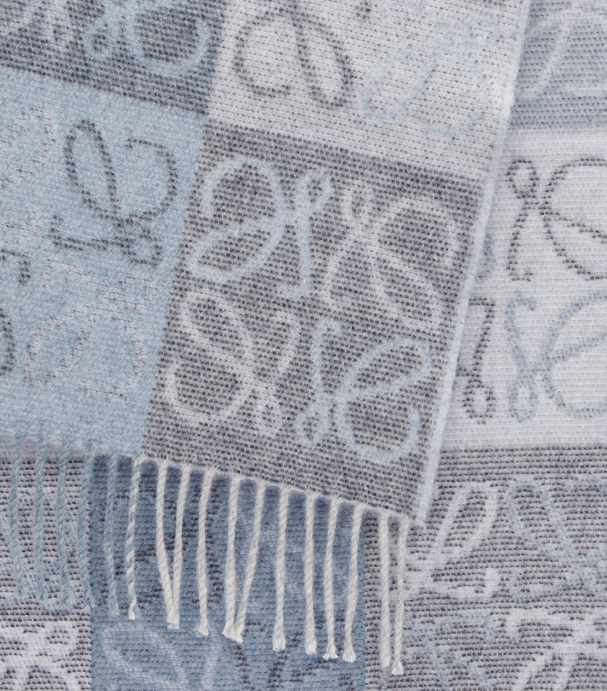 LOEWE Anagram scarf 38cm x 180cm, imported from the UK