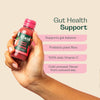 Rheal berry biotic gut health shot 60ml, imported from the UK