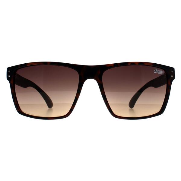 Superdry Kobe Brown men's sunglasses (British brand)