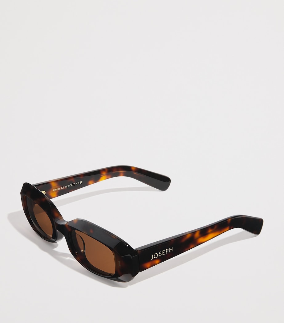 Joseph Bahia oval sunglasses with acetate frame, imported from the UK
