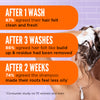 Noughty Back to Balance oil controlling shampoo 250ml, UK version
