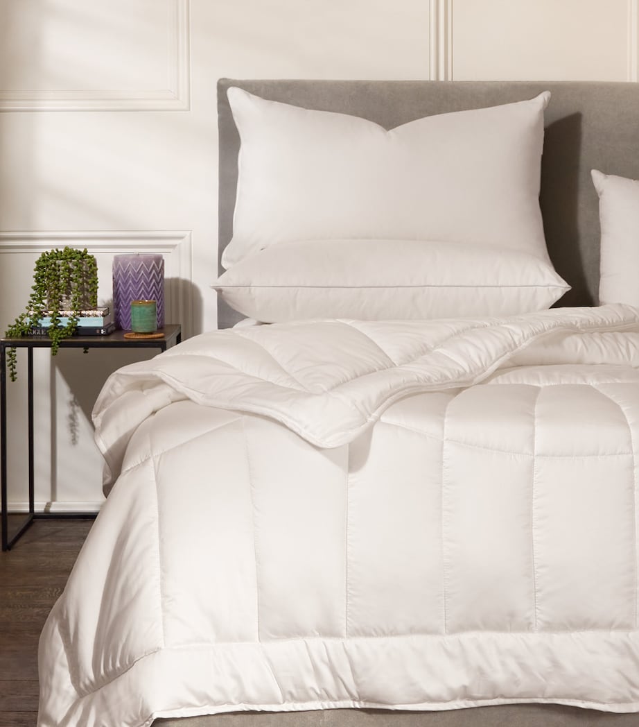 Harrods of London Kensington down-filled pillow 50cm x 90cm, UK version