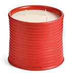LOEWE Large Tomato Leaves scented candle, UK version